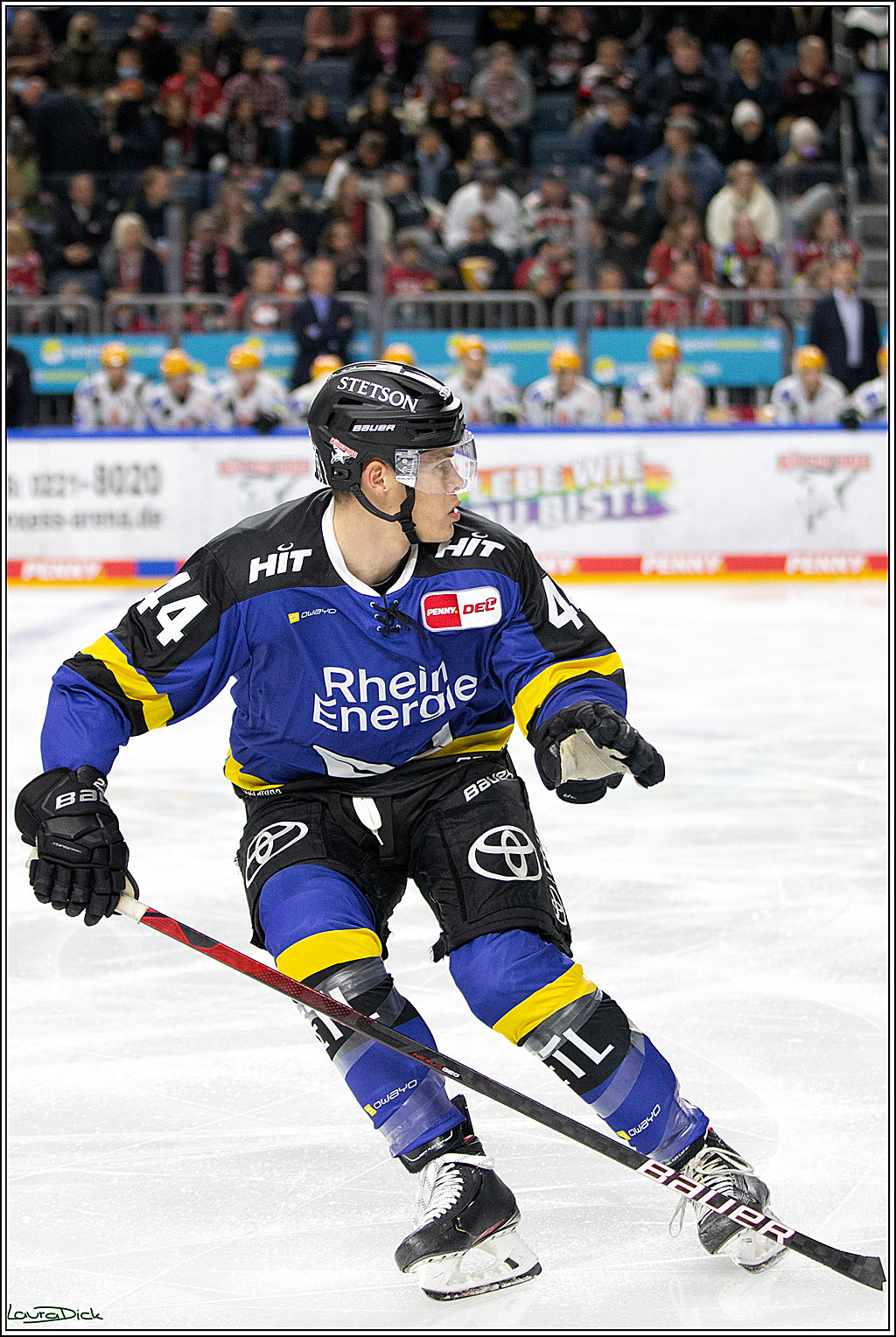 PENNY DEL; Koelner Haie- Fishtown Pinguins Bremerhaven; Koeln, 23.11.2021